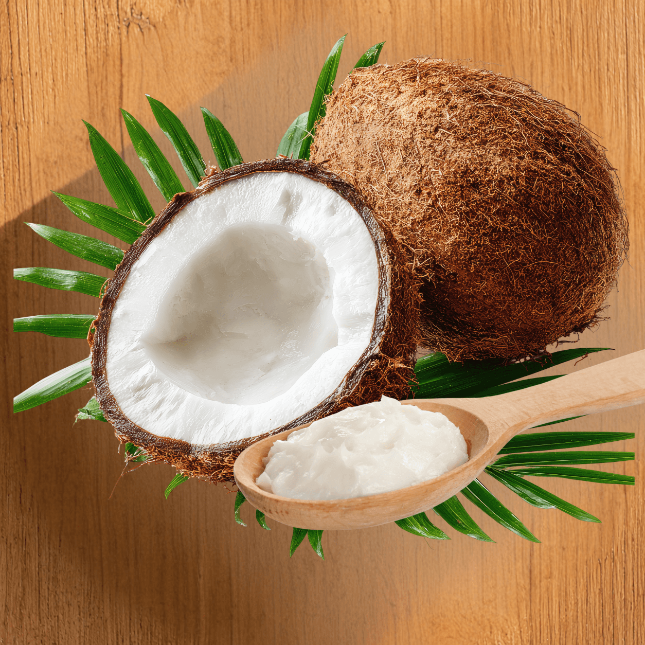 Potes de óleo de coco extra virgem Nativa